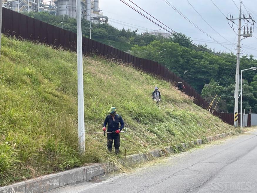 대산_숙호지매립장.jpg