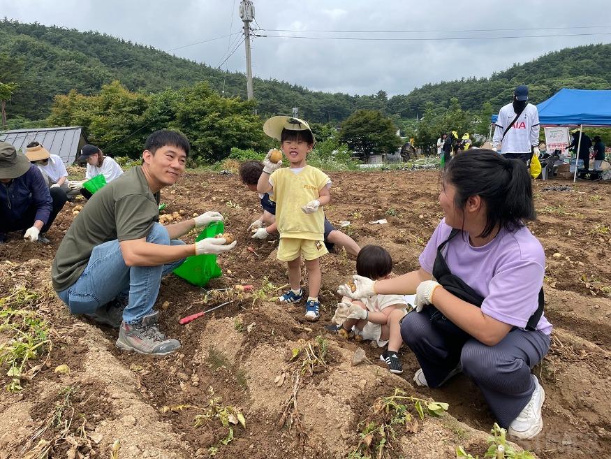 감자축제3.jpg