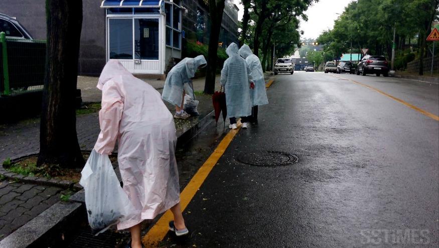 진보당.jpg