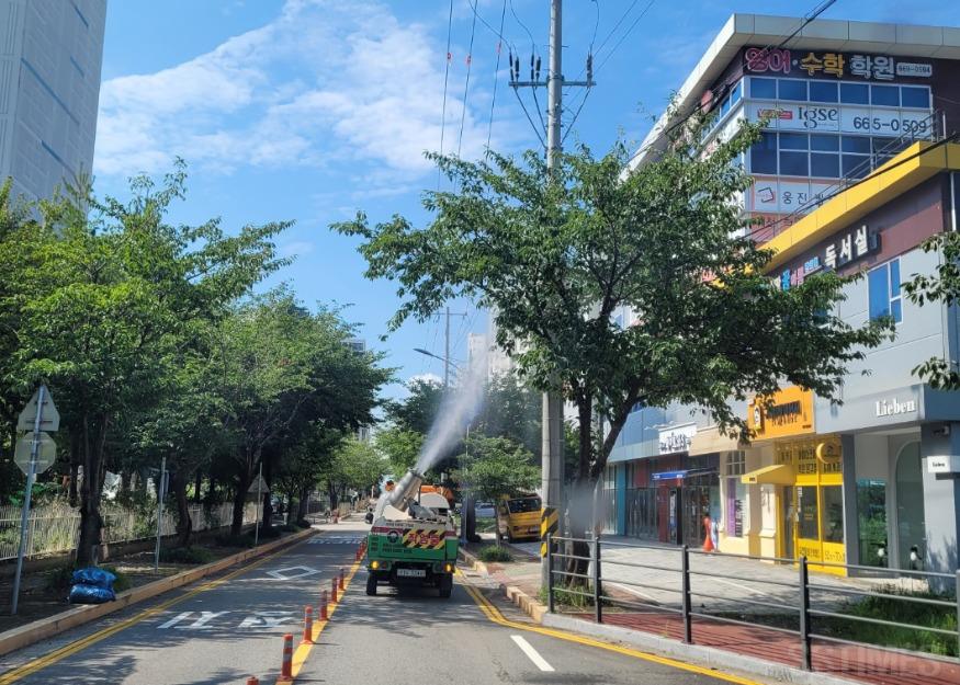 미국흰불나방.JPG