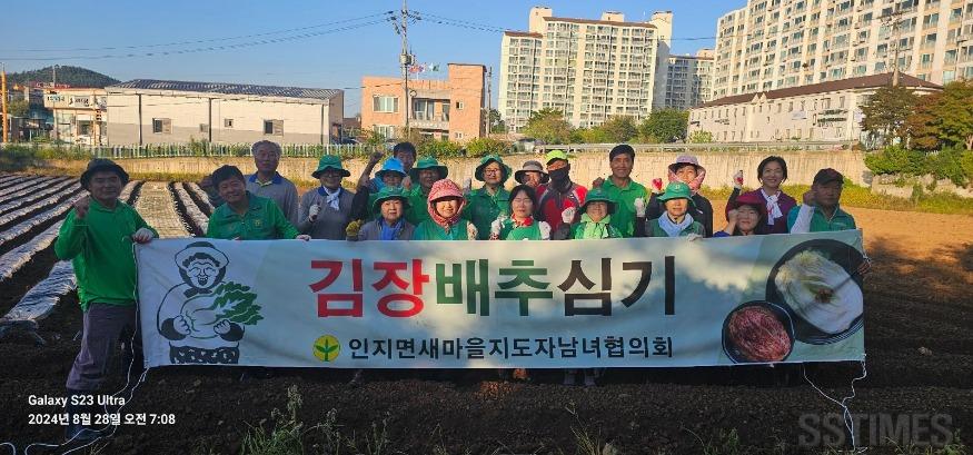 인지_새마을 배추심기.jpg