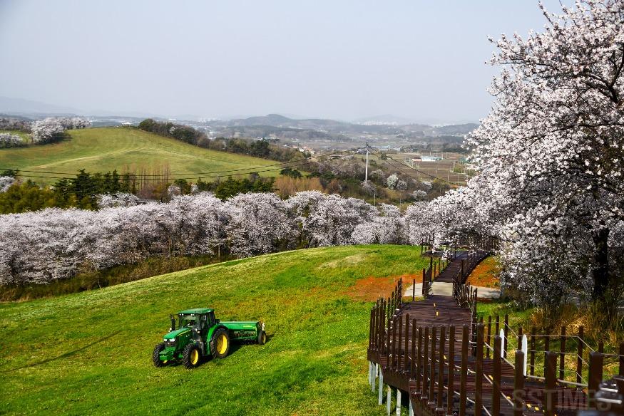 DSC_6717 복사.jpg