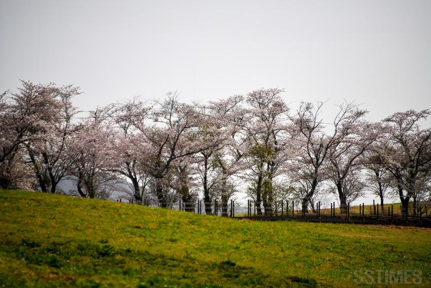 DSC_6870 복사.jpg