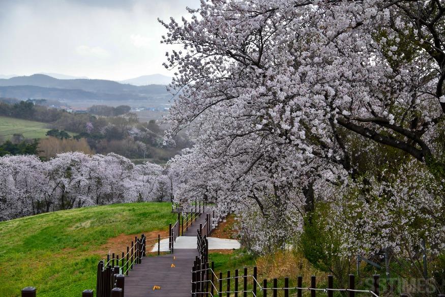 DSC_6932 복사.jpg