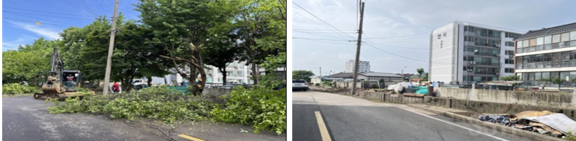 해미_위험수목.png
