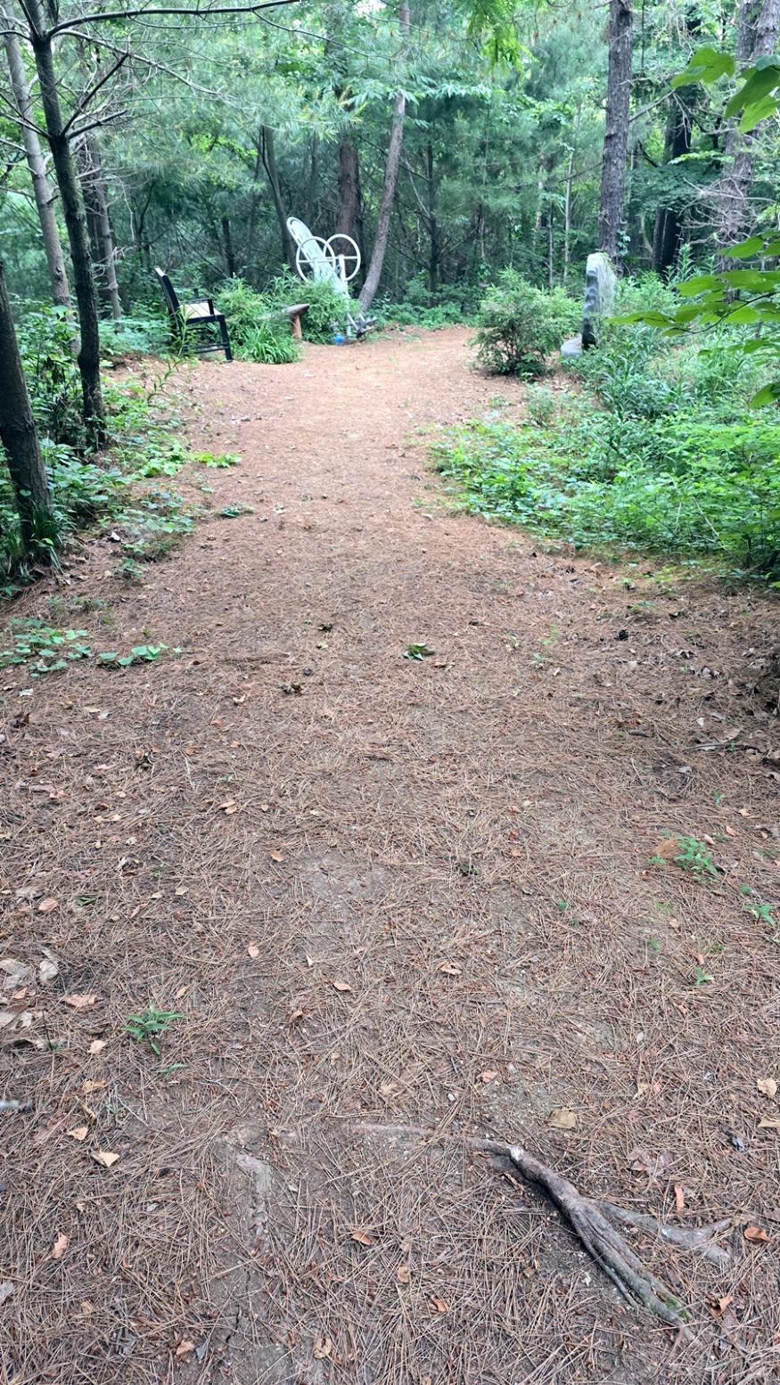 산책로2.jpg