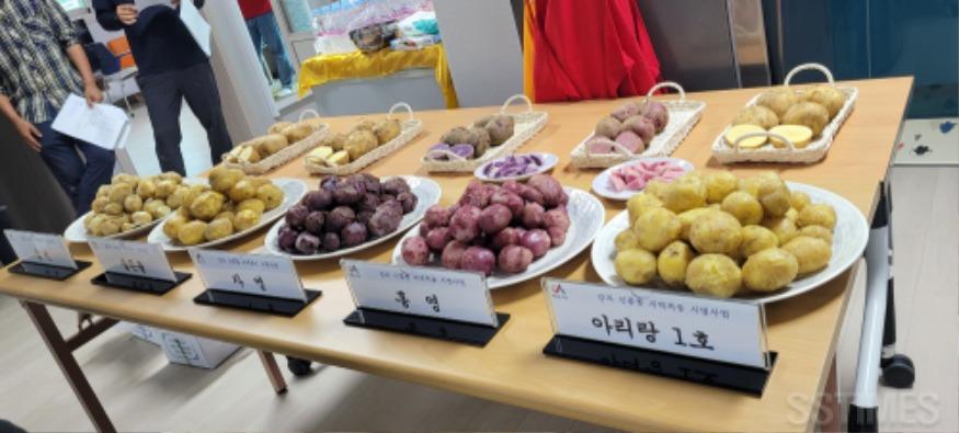 감자평가회2.jpg